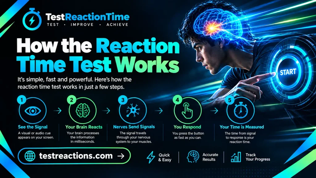 How the Reaction Time Test Works